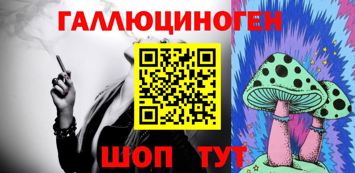 Бердск  Псилоцибиновые грибы прущие грибы  наркота  Вход с VPN 